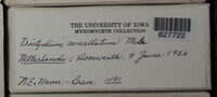 Image Associated With the Occurence